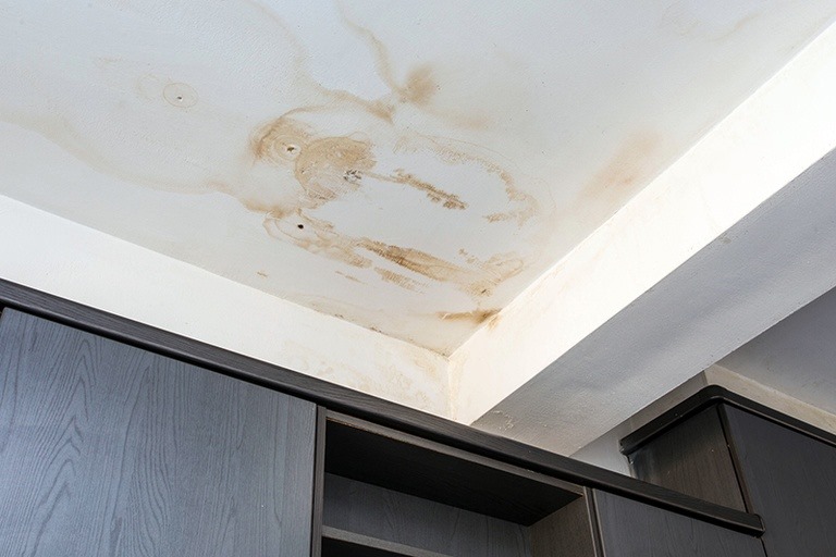 Water damage and mold stains on the ceiling above dark wooden cabinets, indicating leakage and potential air quality problems in the structure.