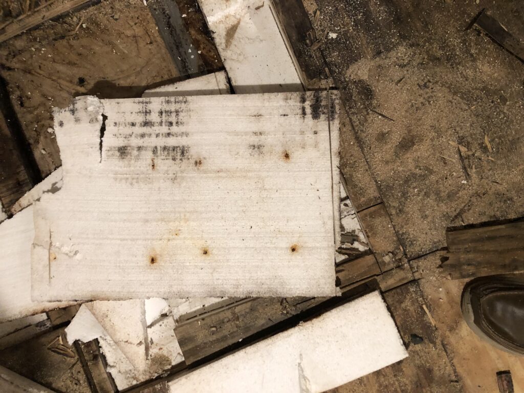 Plastic vapor barrier over foam insulation panels with trapped moisture and mold growth