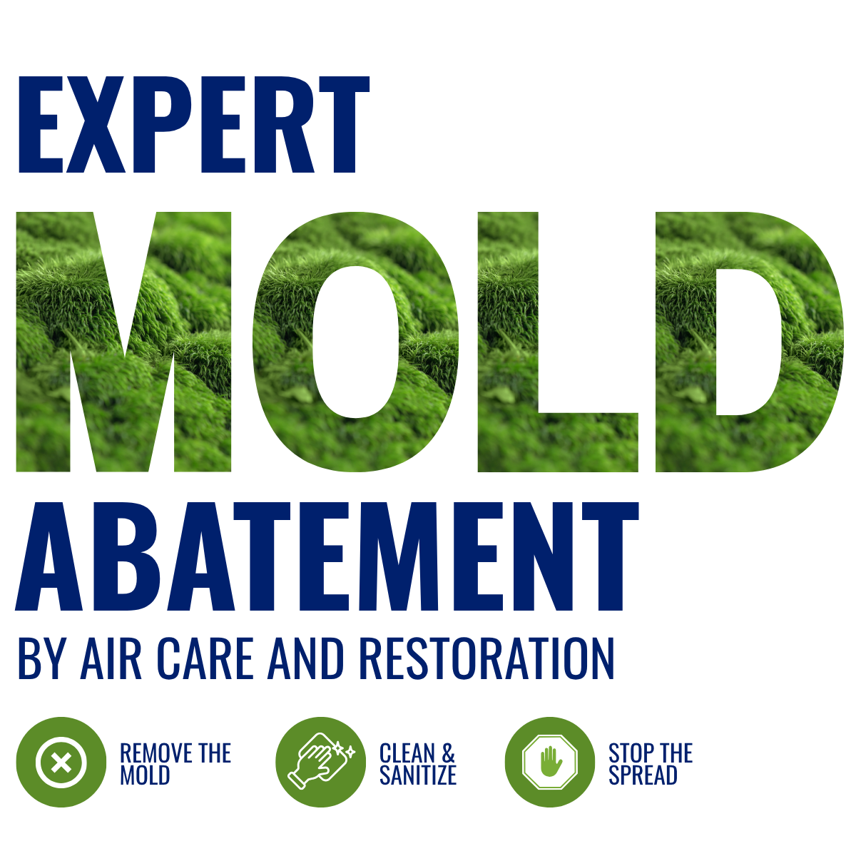 Mold Abatement
