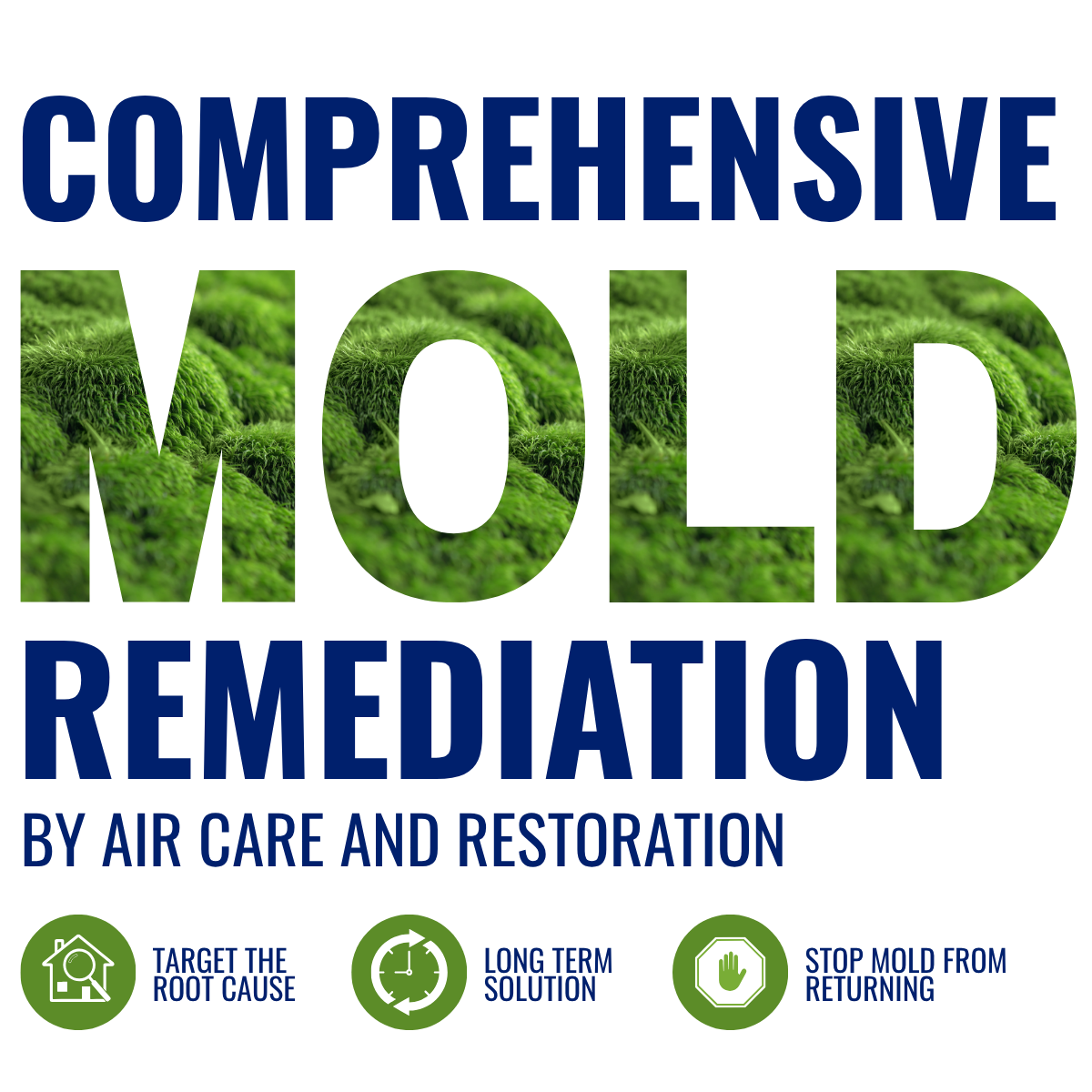 Mold Remediation