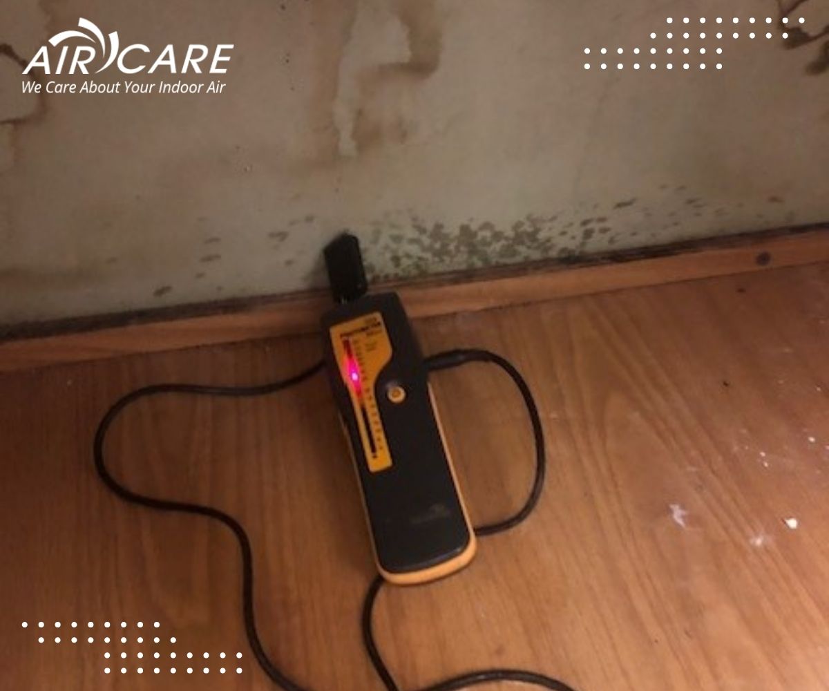 Mold Removal - TargetedInspection
