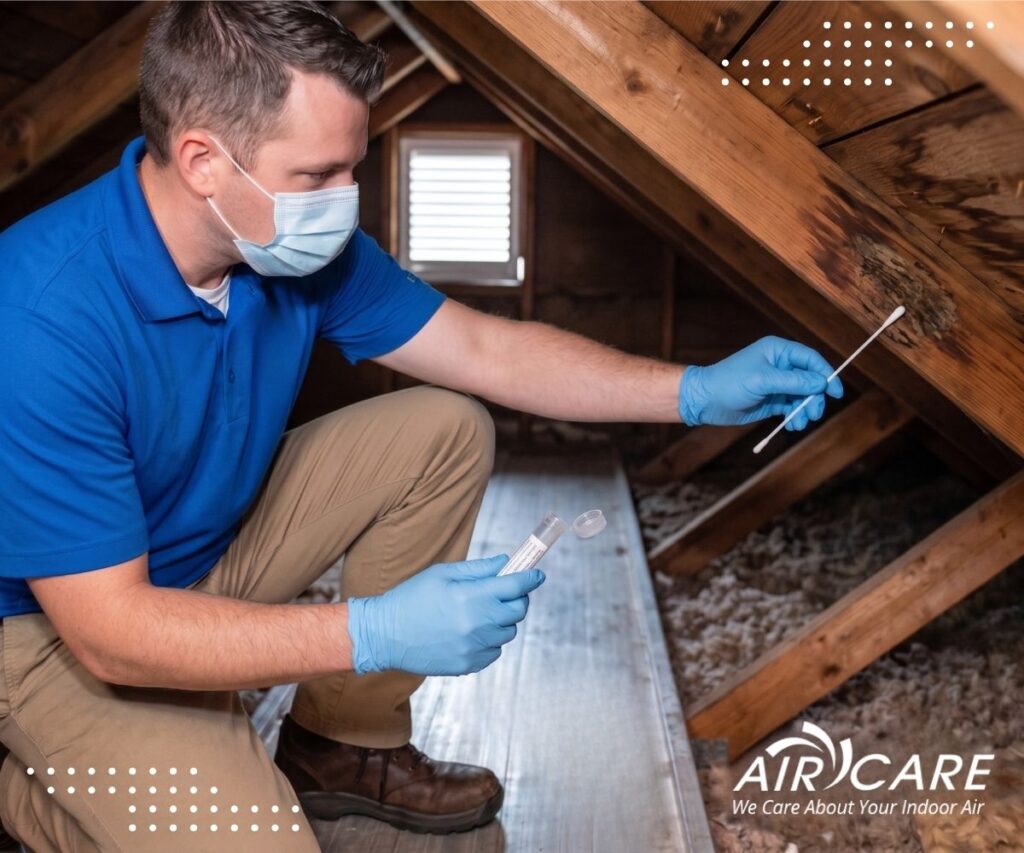 Air Care technician inspecting attic insulation for mold in a Lehigh Valley home