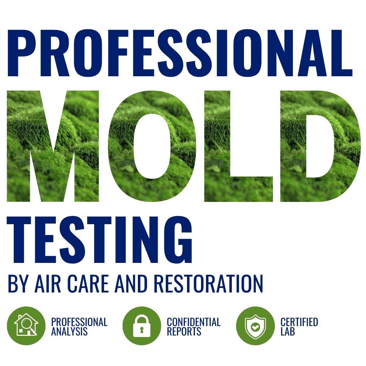 mold testing